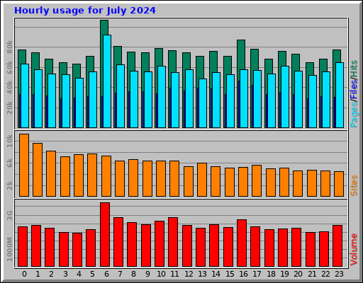 Hourly usage for July 2024