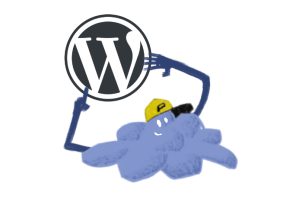 Wordpress en Pangea.org